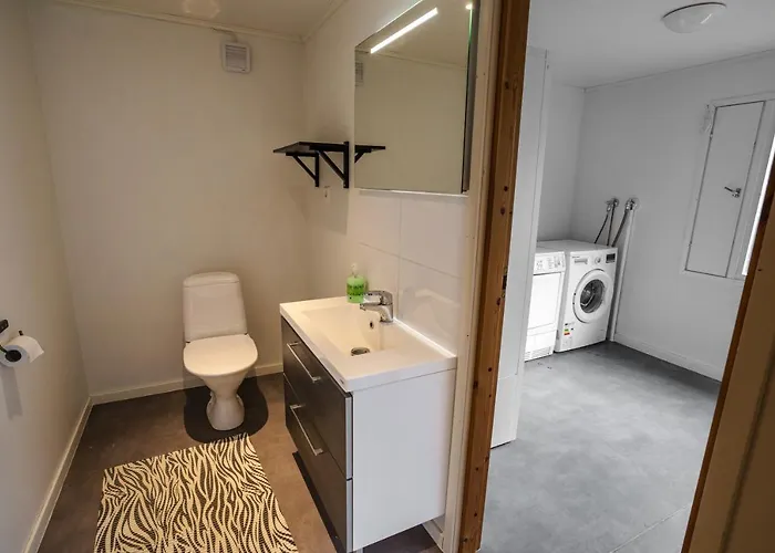 Dağ evi Saananjuuri